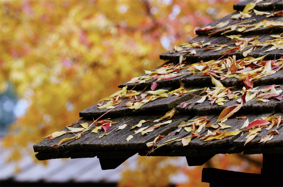 Seasonal Roof Care Explained with A to Z Construction