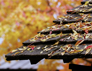 Seasonal Roof Care Explained with A to Z Construction