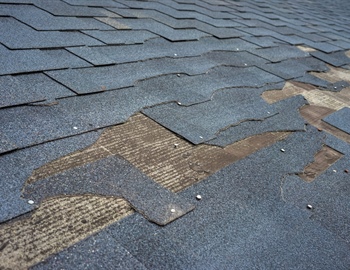 Should I Patch or Replace My Roof?