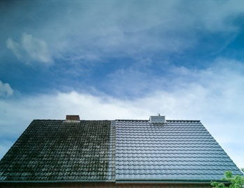 Dark Streaks on Your Roof? Here's Why