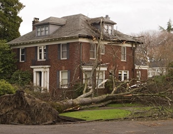 What to Look for When a Storm Damages Your Home