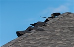 How to Identify Wind Damage to Your Roof