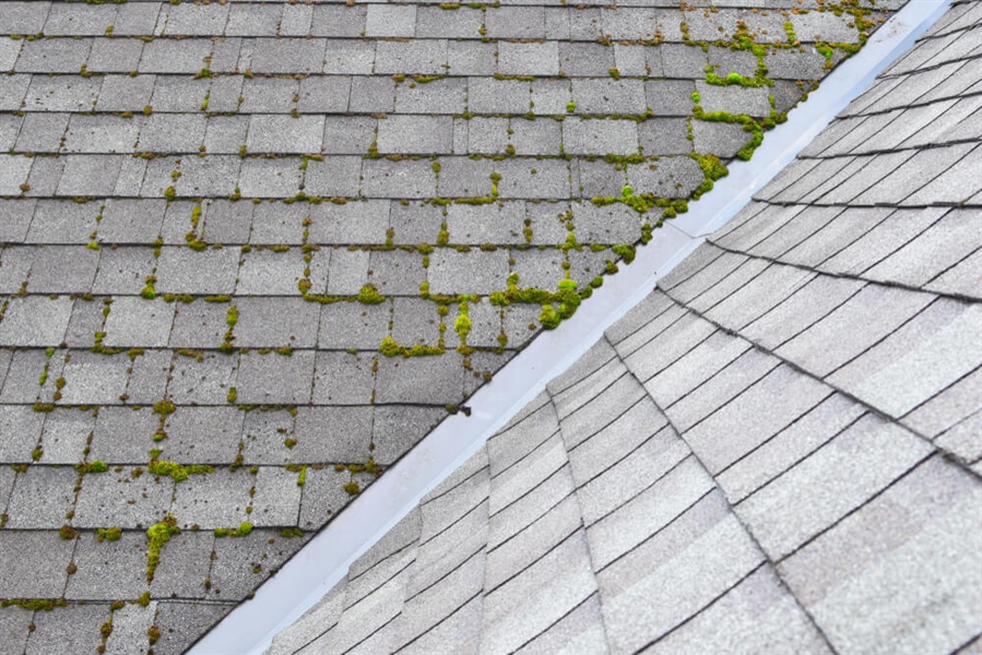 How to Determine the Age of Your Roof