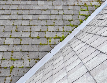 How to Determine the Age of Your Roof