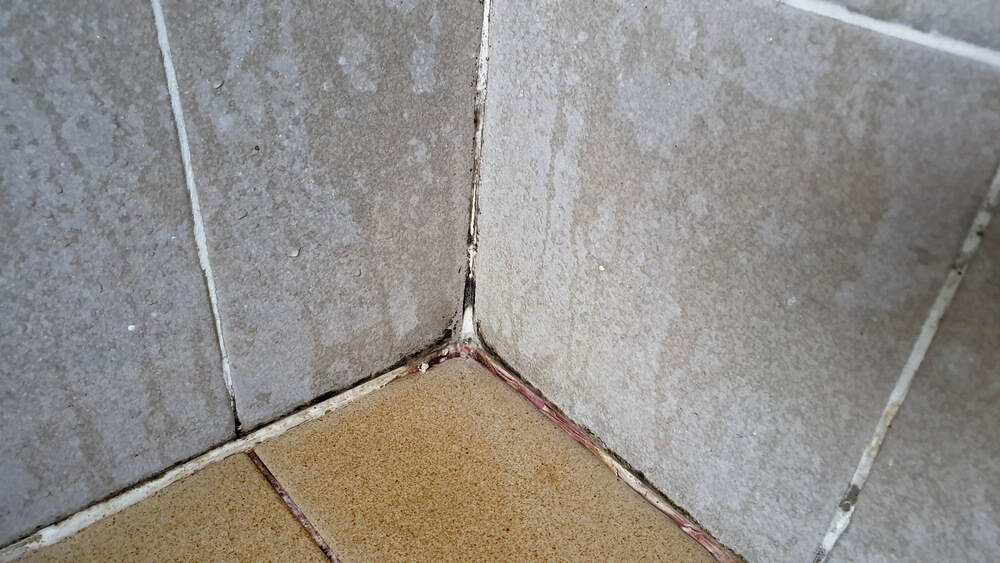 The Importance of Bathroom Tile and Grout Cleaning