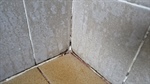 The Importance of Bathroom Tile and Grout Cleaning