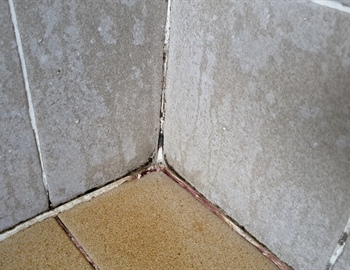 The Importance of Bathroom Tile and Grout Cleaning