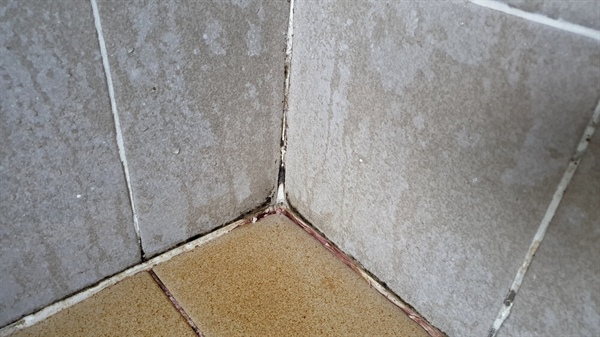 The Importance of Bathroom Tile and Grout Cleaning
