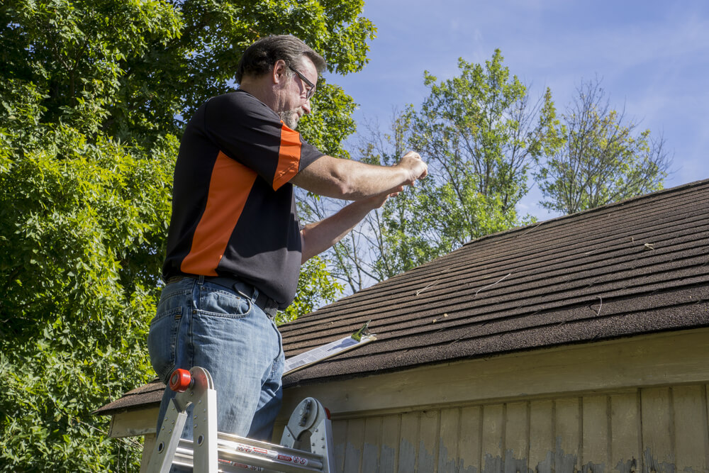 document roof damages