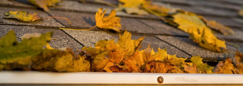 Leaves on a roof in colder weather/fall