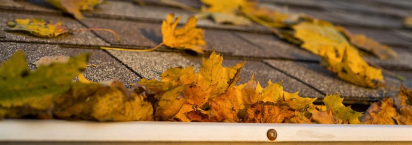 Leaves on a roof in colder weather/fall