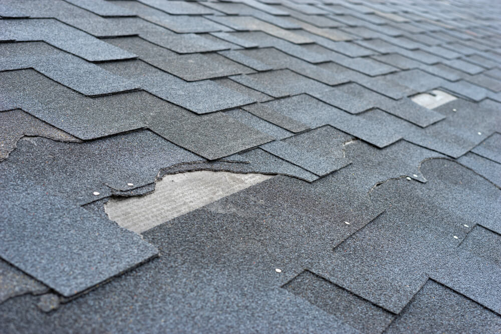 asphalt shingle roof last when to seek a replacement