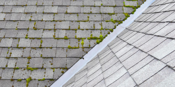 determine the age of your roof