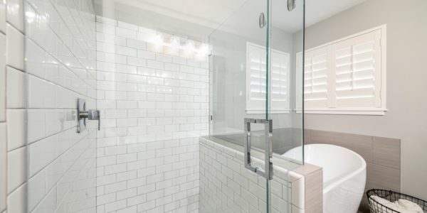 Frameless shower doors, bathroom remodel,