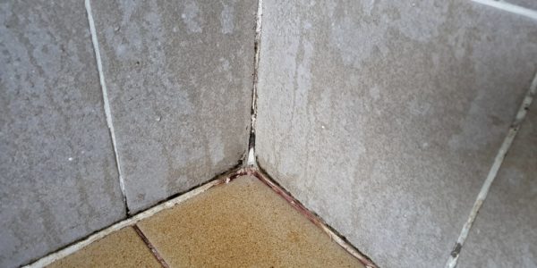 tile and grout cleaning