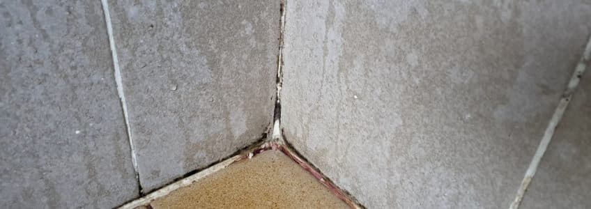 tile and grout cleaning