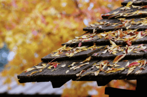seasonal roof care
