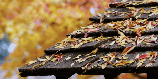 seasonal roof care seasonal roof care